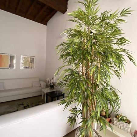 Suite Viterbo Centro Exterior foto