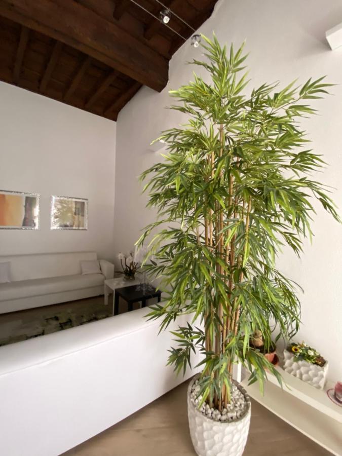Suite Viterbo Centro Exterior foto